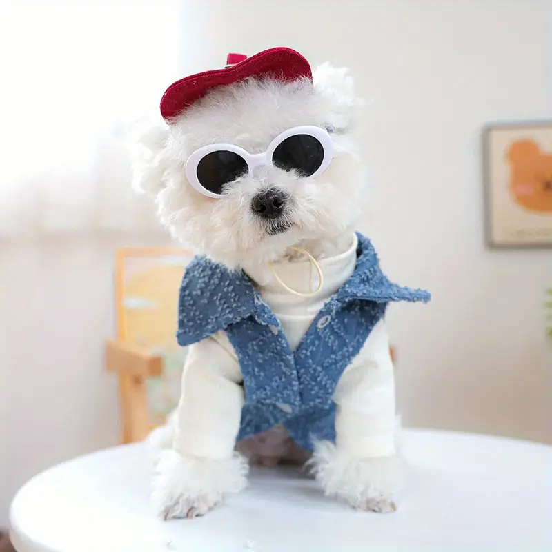 Street Fashion Shoot - Topi Baseball Fashion Anjing dengan Kacamata