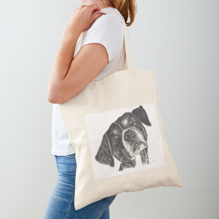Street Fashion Greece - Anjing jalanan dari Yunani, bernama Dinos